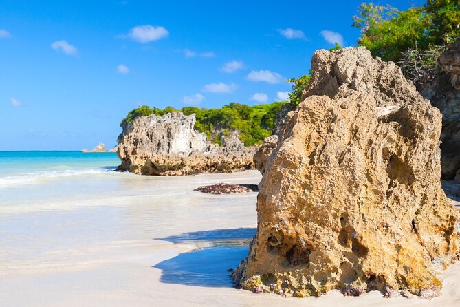 Punta Cana Guided Buggy Adventure Tour - What this Punta Cana buggy tour is really like