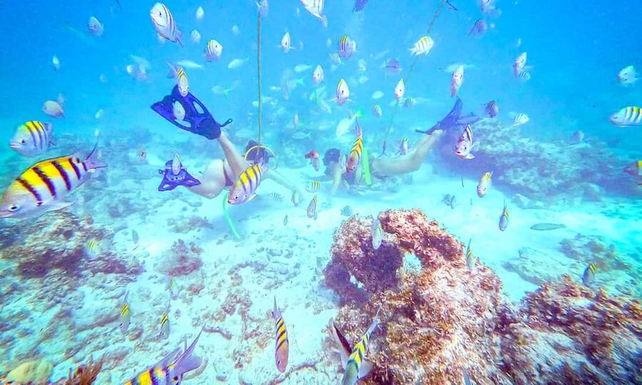 Punta Cana: Guided Power Dive Adventure - Getting comfortable with hookah equipment