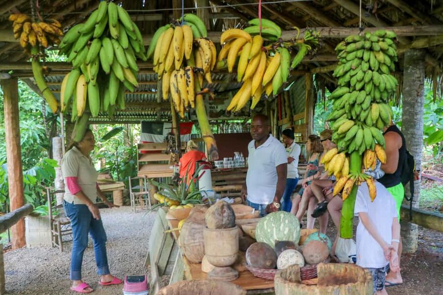 Punta Cana: Haitises, Cano Hondo, Redonda Mountain Day Trip - Why Los Haitises makes this more than a beach day