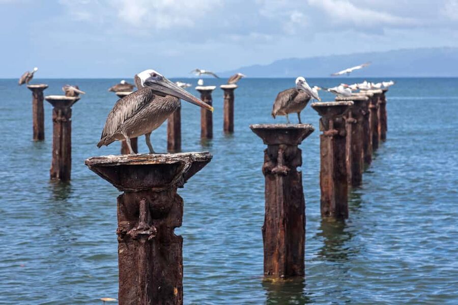 Punta Cana: Haitises, Cano Hondo, Redonda Mountain Day Trip - Guides, pace, and the feel of the day