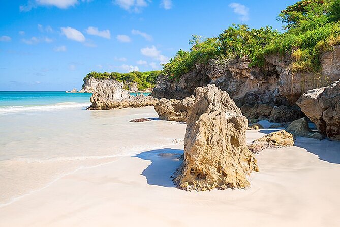 Punta Cana Half-Day Cultural Safari with Lunch and Drinks - The river stop and Macao Beach