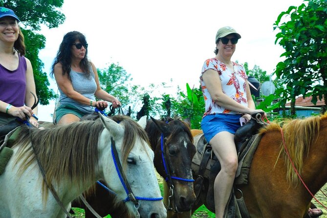 Punta Cana Half-Day Cultural Safari with Lunch and Drinks - Lunch, drinks, and what is really included