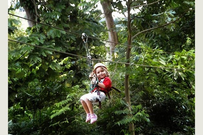Punta cana: Half-Day Zipline Tour - Is $90 a fair price?