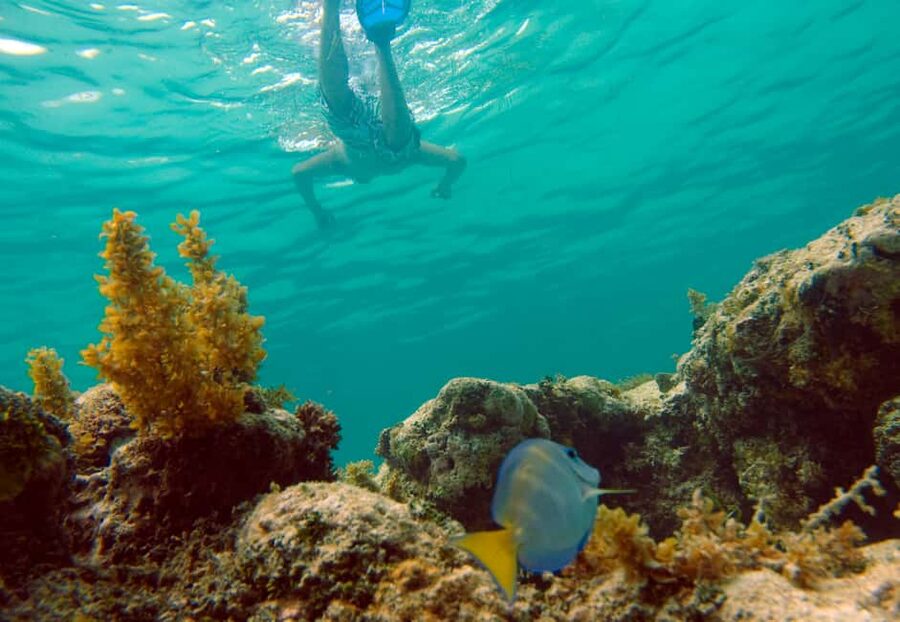 Punta Cana Happy Hour Sailing Cruise - Snorkeling along the Bávaro reef