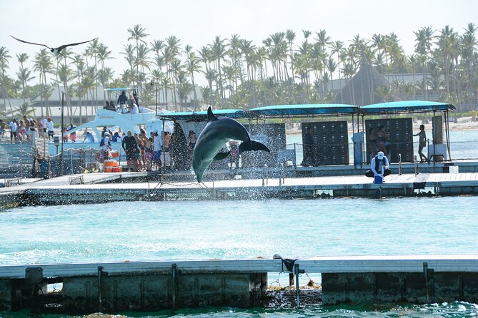 Punta Cana Hip Hop Party Boat with Snorkeling & Unlimited Drinks - Who Will Enjoy This Party Boat Most
