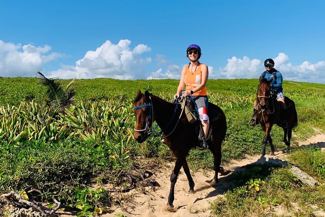 Punta Cana Horseback Ride: Jungle, Macao Beach & Free Pick Up - A typical Dominican home, coffee, and cocoa