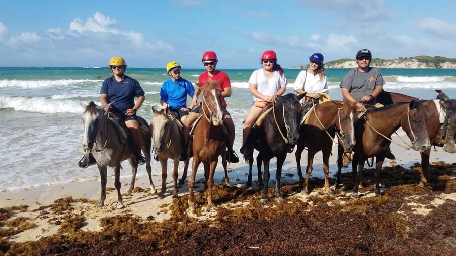 Punta Cana: Horseback Ride to Macao Beach - From the ranch to Macao Beach in two hours
