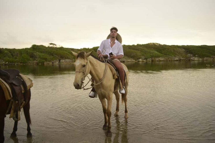 Punta Cana: Horseback Ride to Macao Beach - Should you book the Macao Beach ride?