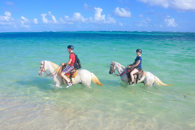Punta Cana Horseback Riding Adventure - Key points to know before you book