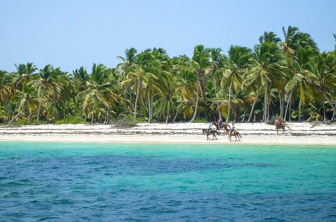 Punta Cana Horseback Riding Adventure - Swimming with your horse, with realistic expectations
