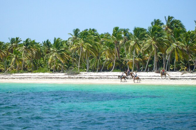 Punta Cana Horseback Riding Adventure - Who will enjoy this ride most?