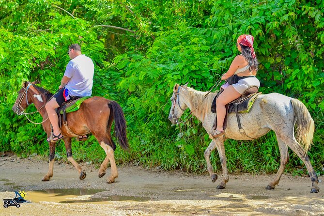 Punta Cana Horseback Riding Adventure on Macao Beach - What the $50 price really covers