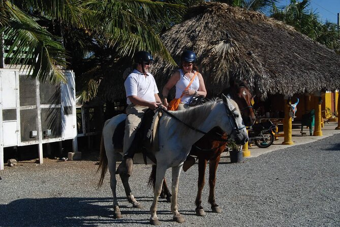 Punta Cana Horseback Riding on the Beach - Hotel Pickup at 9:00 am