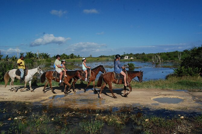 Punta Cana Horseback Riding on the Beach - The River Meeting the Ocean