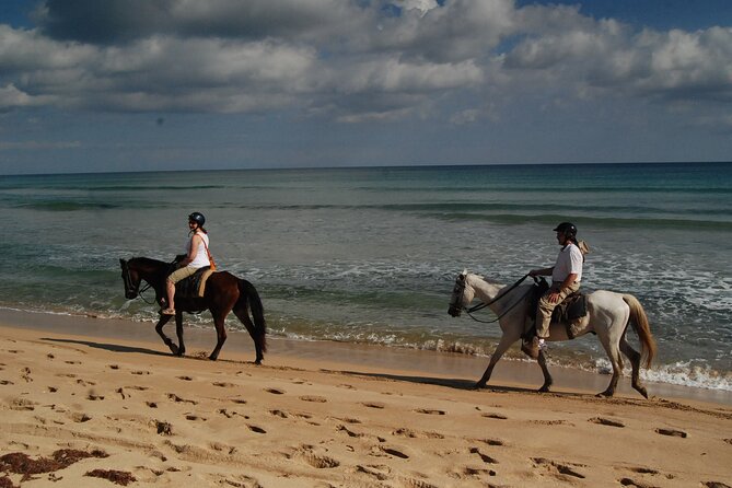 Punta Cana Horseback Riding on the Beach - The Coconut Break and Extra Costs
