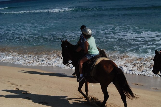Punta Cana Horseback Riding on the Beach - What the $75 Price Buys You
