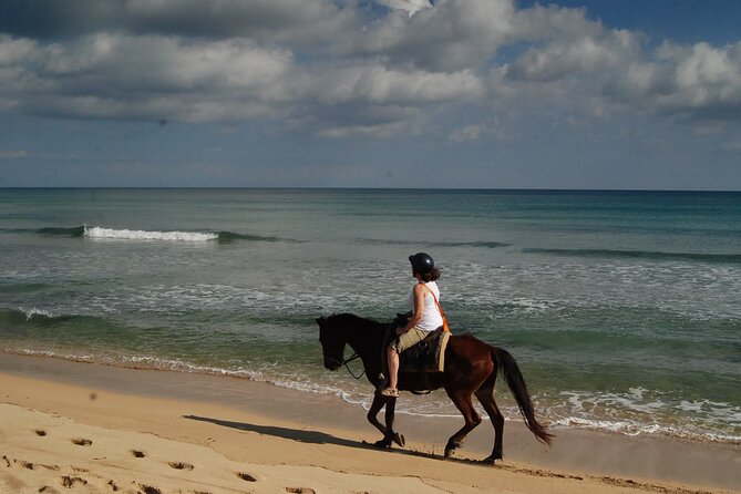Punta Cana Horseback Riding on the Beach - Booking Tips for a Smoother Morning