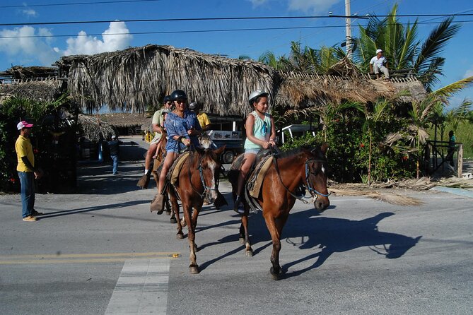 Punta Cana Horseback Riding on the Beach - Getting Oriented at the Stable