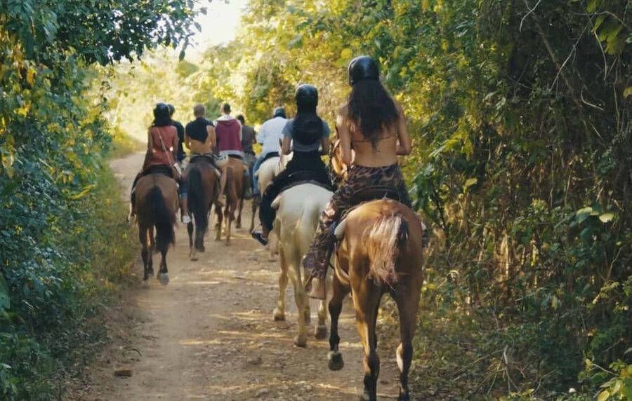 Punta Cana Horseback riding & Sunset + beach + free pick-up - Key points before you saddle up