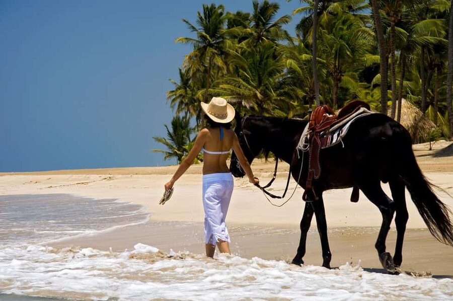 Punta Cana: Horseback Riding through Stunning Beaches - Key points to know before you ride