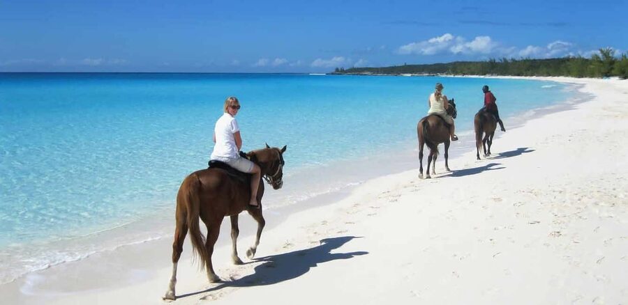 Punta Cana: Horseback Riding through Stunning Beaches - From Punta Cana hotels to the ranch