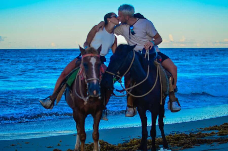 Punta Cana: Horseback Riding Tour with Sunset at Macao Beach - Horse care, trail conditions, and the honest drawbacks