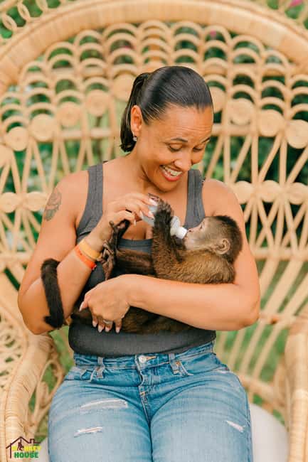 Punta Cana: Interactive Experience at Monkey House - Key points to know before you go