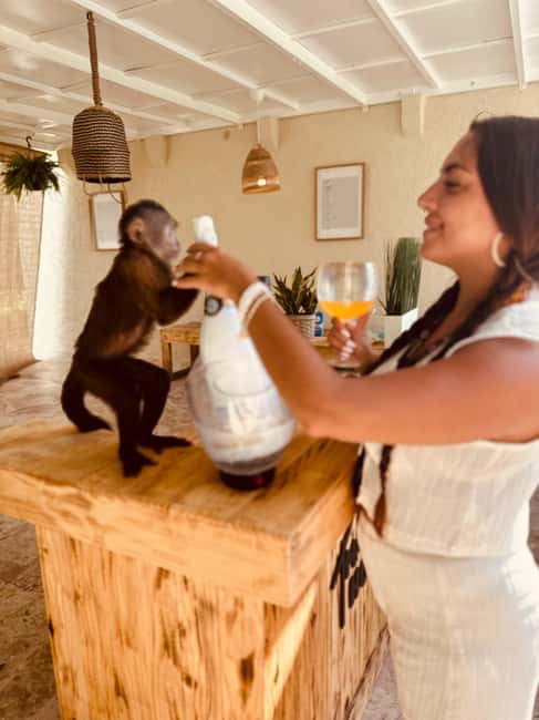 Punta Cana: Interactive Experience at Monkey House - Who will enjoy Monkey House most?