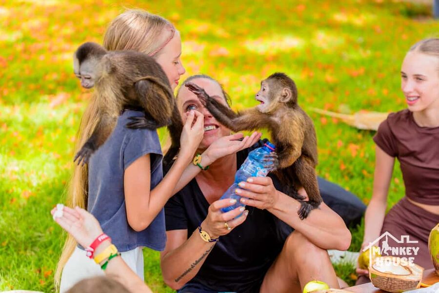 Punta Cana: Interactive Experience at Monkey House - Four monkey species, four different personalities