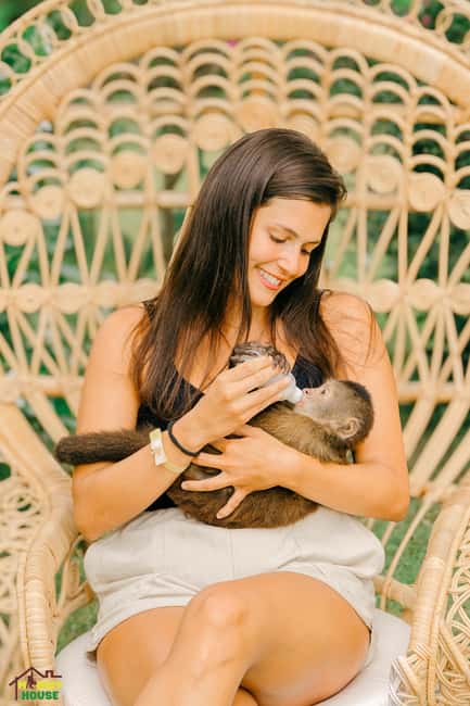 Punta Cana: Interactive Experience at Monkey House - Getting ready for three hours outdoors