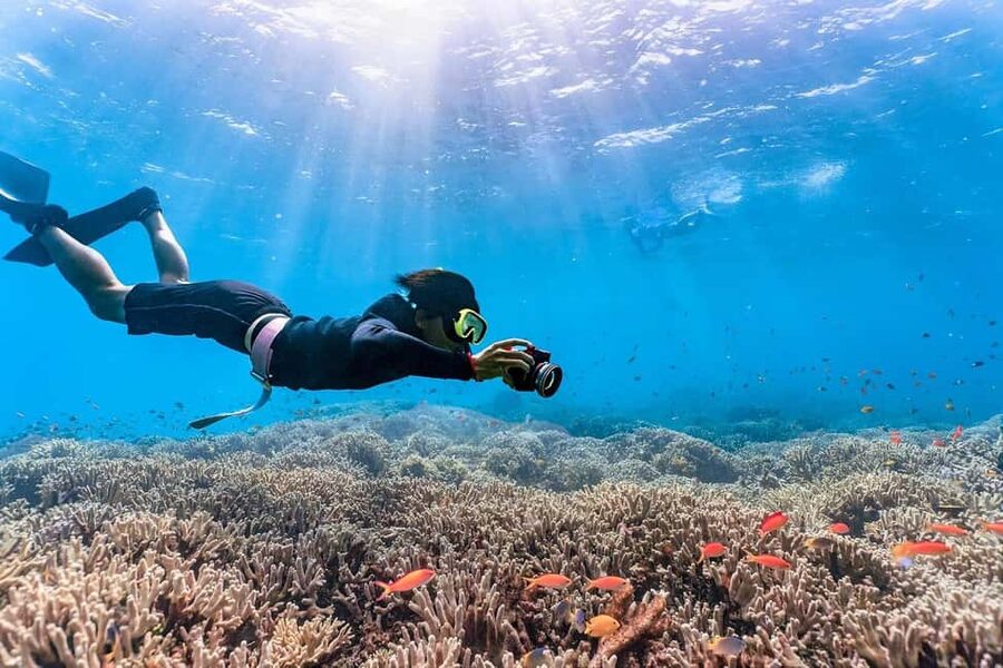 Punta Cana: Island escape to catalina • snorkeling & lunch - The road from Punta Cana to La Romana