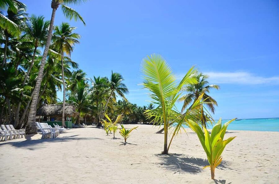 Punta cana: Island Escape to Saona • catamaran & Beach lunch - Playa Palmilla offers a short taste of the coast