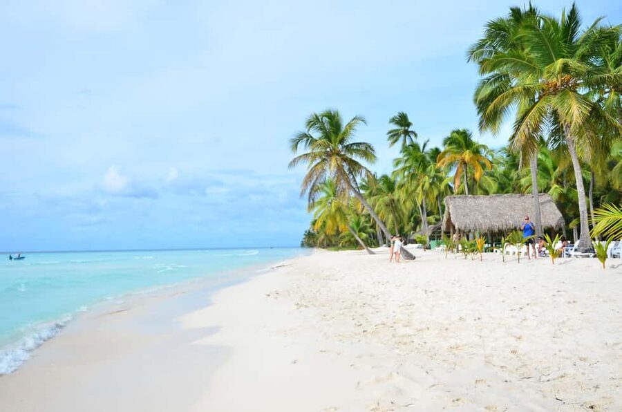 Punta cana: Island Escape to Saona • catamaran & Beach lunch - The buffet is practical Dominican comfort food