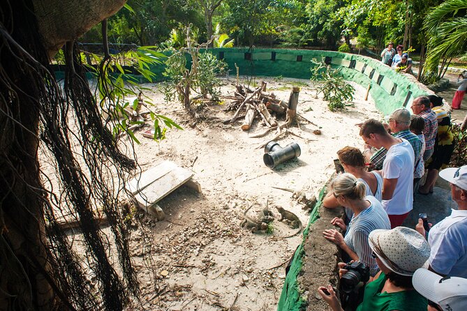 Punta Cana Lagoon Tour with Lunch, Boat Cruise, Open Bar - Snorkeling in Punta Cana’s coastal water
