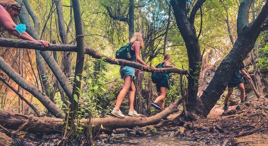 Punta Cana: Los Haitises Hike & Kayaking Mangroves - Why Los Haitises makes a good day away from Punta Cana