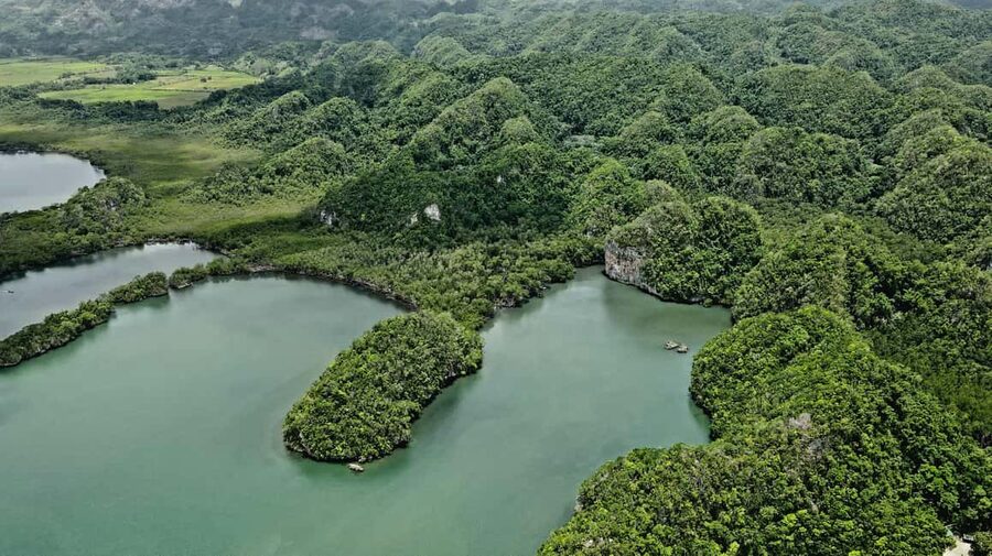 Punta Cana: Los Haitises Hike & Kayaking Mangroves - Caves, mangrove roots, and open water