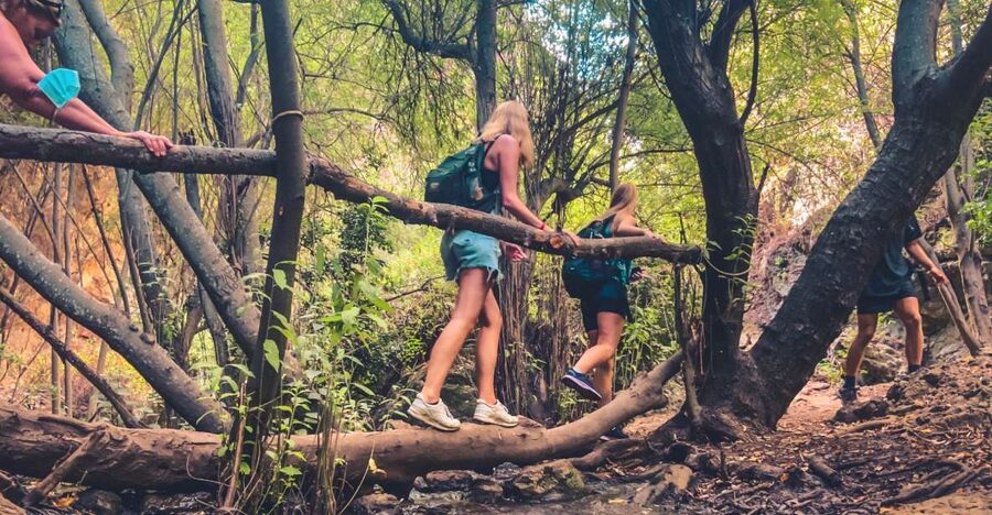 Punta Cana: Los Haitises Hike & Kayaking Mangroves - Should you book it?