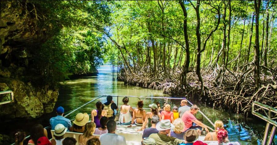 Punta Cana: Los Haitises National Park Full-Day Tour - Key points to know before booking