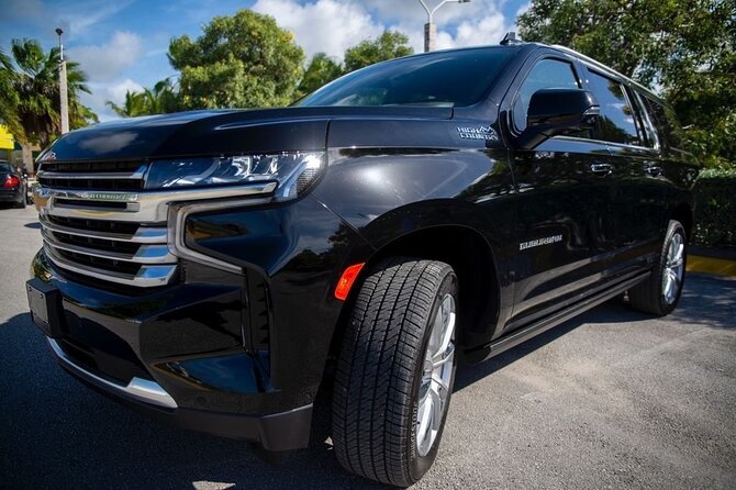 Punta Cana Luxury Private Transfers Roundtrip service - Booking timing and trip planning