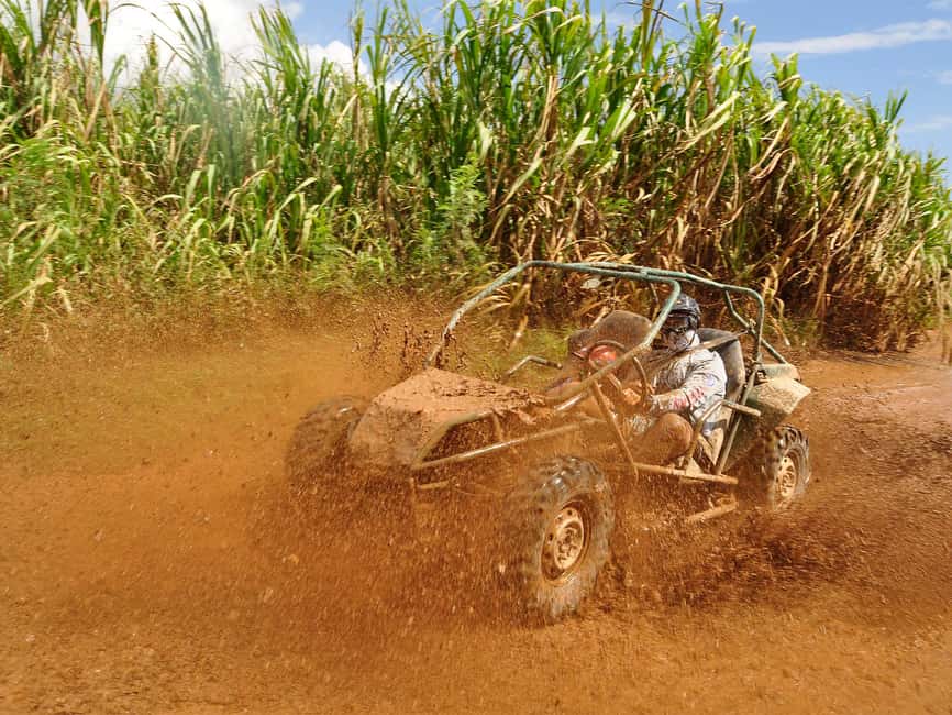 Punta Cana: Macao Beach Buggy Tour - Key points at a glance