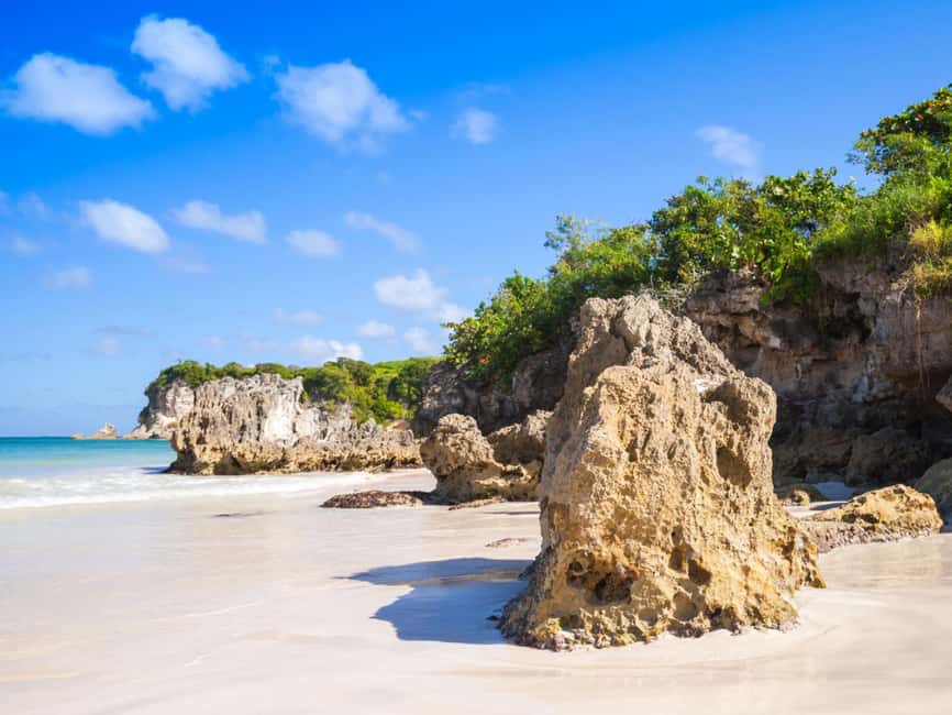 Punta Cana: Macao Beach Buggy Tour - A Dominican house and coffee ranch add local context