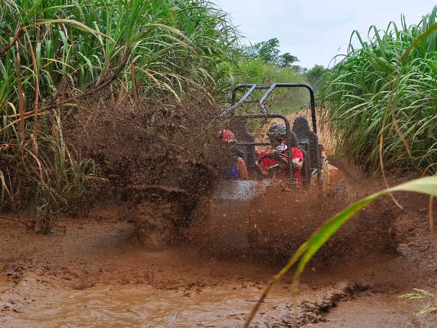 Punta Cana: Macao Beach Buggy Tour - Booking details that matter before you commit
