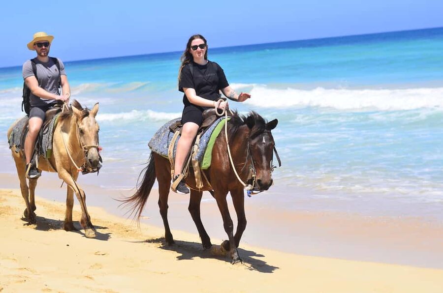 Punta Cana: Macao Beach & Forest Horseback Riding Tour - Riding from Punta Cana to Macao Beach