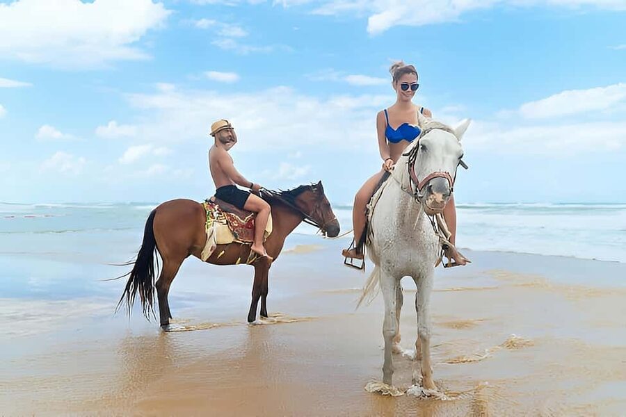 Punta Cana: Macao Beach & Forest Horseback Riding Tour - Meeting the horses and getting comfortable