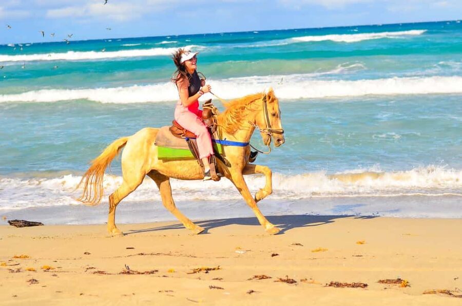 Punta Cana: Macao Beach & Forest Horseback Riding Tour - Through the forest, river, and rocky paths