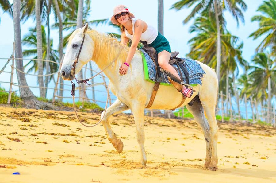 Punta Cana: Macao Beach & Forest Horseback Riding Tour - What the three-hour schedule really means
