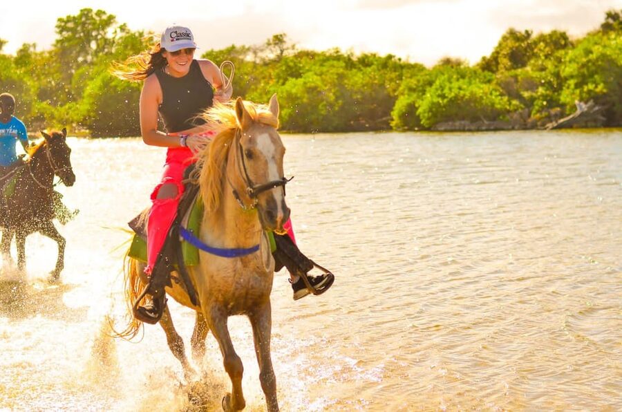 Punta Cana: Macao Beach & Forest Horseback Riding Tour - Is this a good choice for beginners and families?
