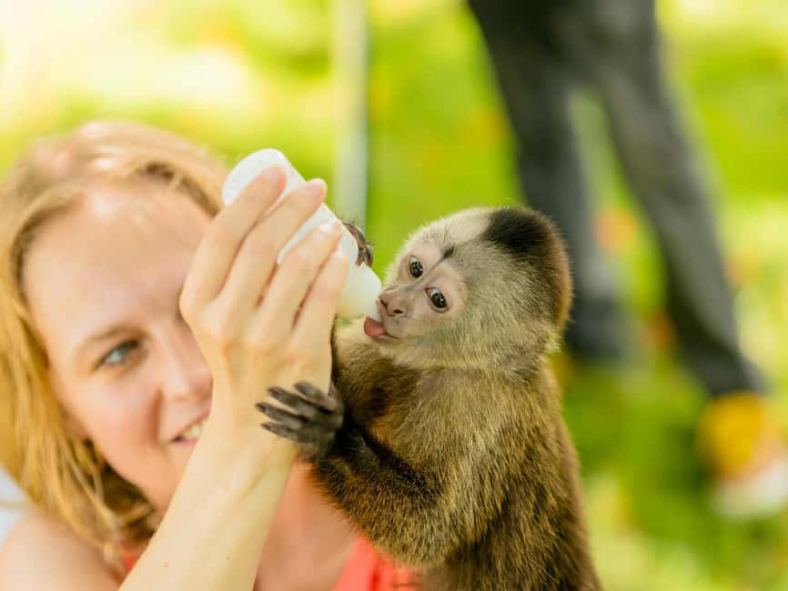 Punta Cana: Monkey Adventure by Jhoraji With Hotel Pick-Up - The part that may feel more like a photo shoot