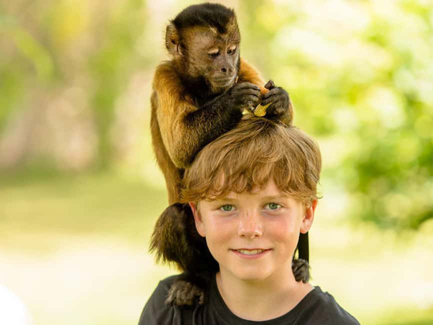 Punta Cana: Monkey Adventure by Jhoraji With Hotel Pick-Up - What the three-hour schedule really means