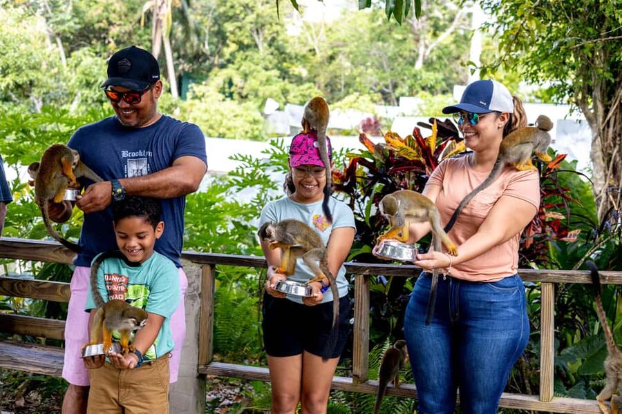Punta Cana: Monkey Land Half-Day Safari and Plantation - Meeting the monkeys on five acres of Dominican countryside